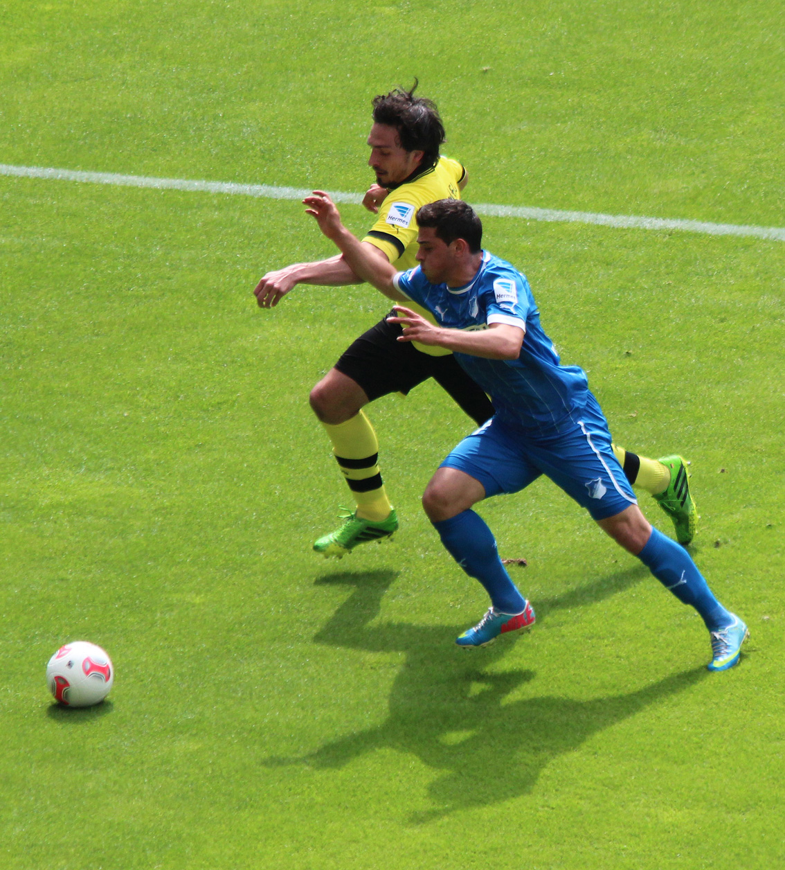 HP-Volland - Hummels