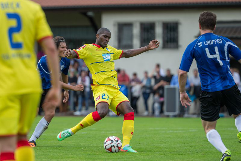 Modeste auf Torejagd