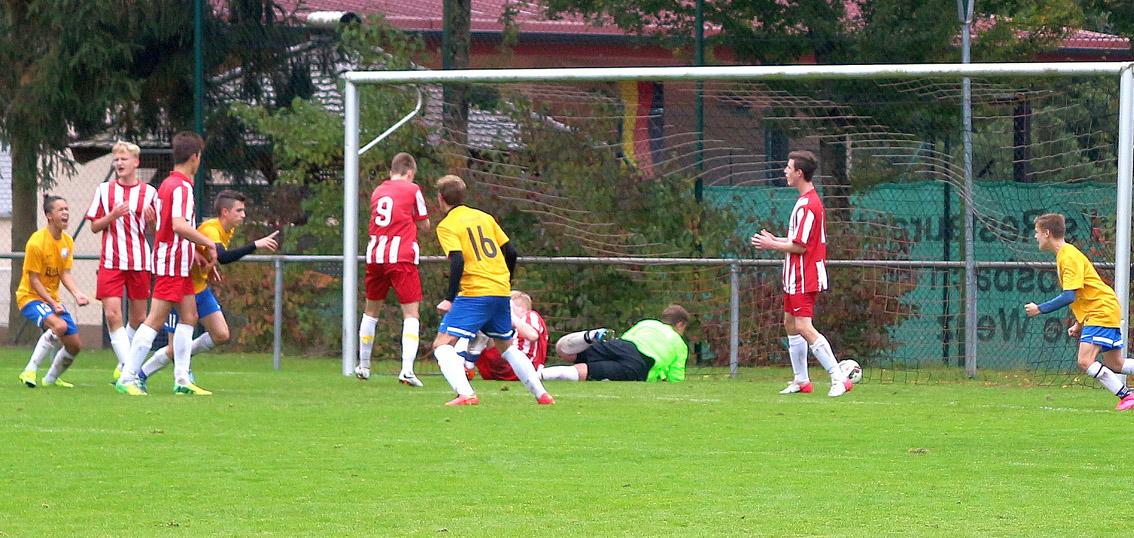 Freude in gelb-blau über den Last-Minute-Siegtreffer