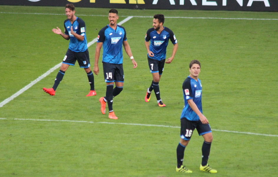 Hoffenheimer Torjubel