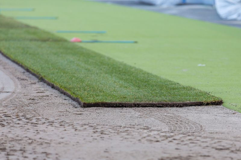 ... Verlegung des neuen Grüns