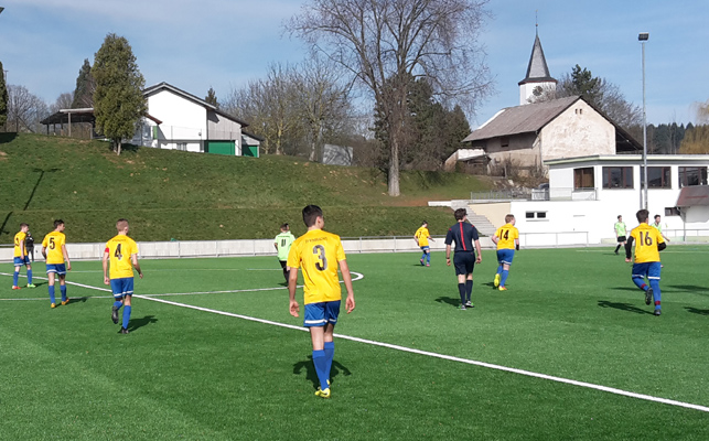 Das Spiel fand auf dem neuen Kunstrasen in Reichartshausen statt