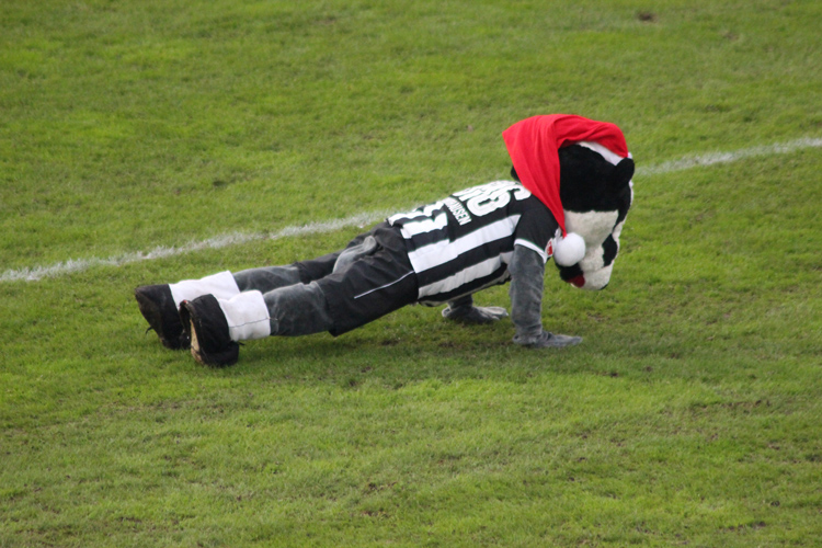 Maskottchen Hardi macht vor der Fankurve Liegestützen