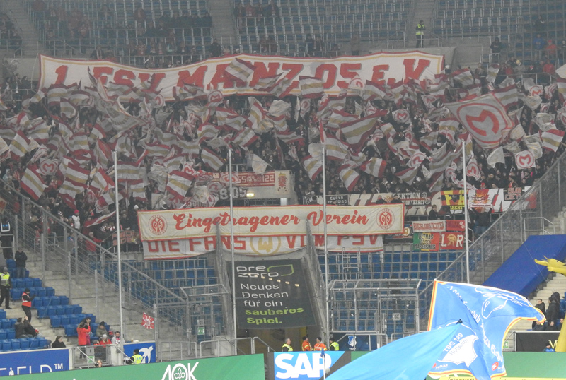 Die FSV-Fans in Partylaune