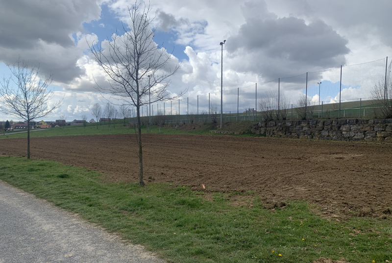 Der derzeitige Zustand des Geländes nach der Einsaat. Ab dem Sommer soll der neue Bolzplatz bespielbar sein.