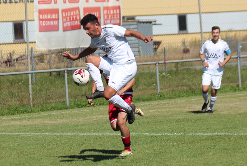 Francesca bei der Ballannahme