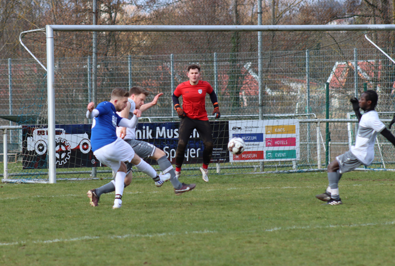 Vogt mit Distanzschuss