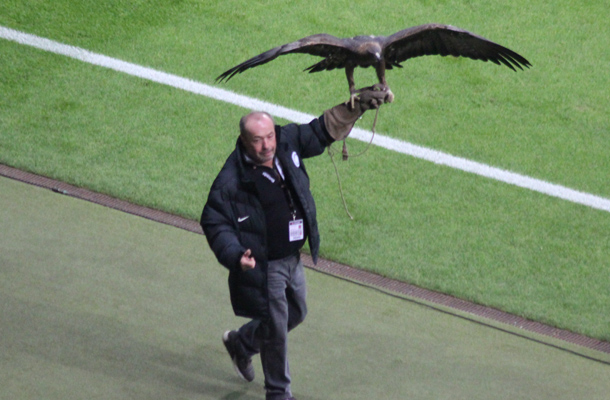 Eintracht-Adler vor dem Spiel