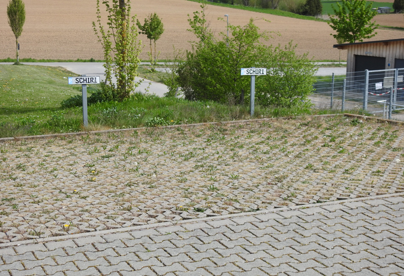 Der Schiri-Parkplatz vergrünt zunehmend