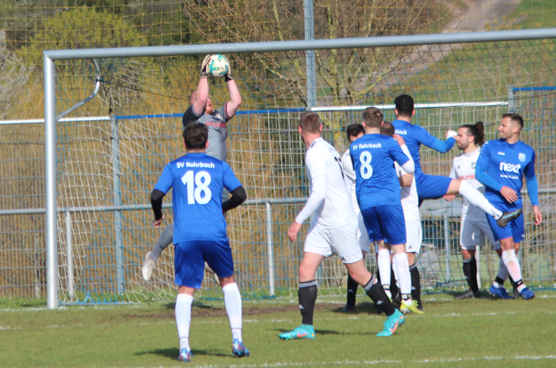 Eine sichere Beute für VfL-Keeper Horn